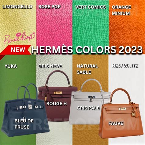 hermes rare color|hermes birkin color chart.